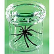 GeoSafari Large Bug Viewer
