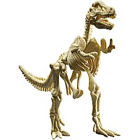 Tyrannosaurus Rex