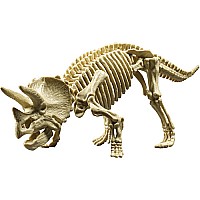 Triceratops
