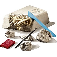 Triceratops