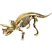 Triceratops