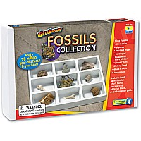GeoSafari Fossils Collection