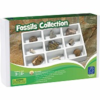 GeoSafari Fossils Collection