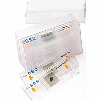 Geosafari Talking Microscope