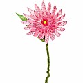 Button Blossoms