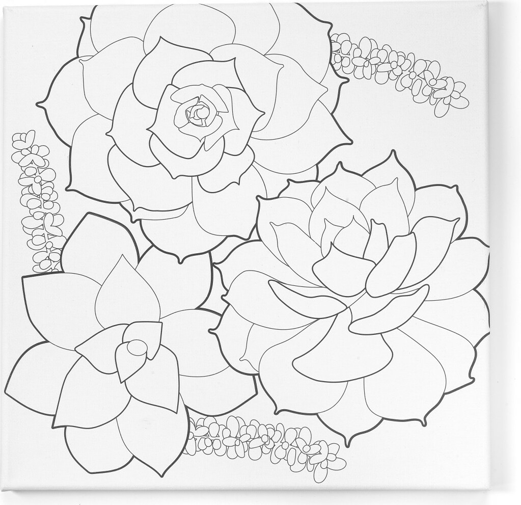 Faber Castell Paint by Number Watercolor Succulents