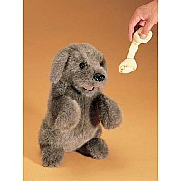 Dog, Sitting