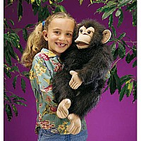 Chimpanzee