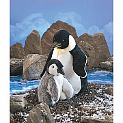 Penguin, Emperor