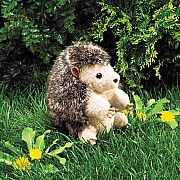 Hedgehog