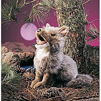 Coyote