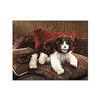 Cat, rag doll