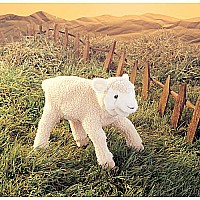 Lamb