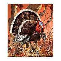 Turkey Puppet by Folkmanis