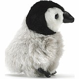 Mini Penguin, Emperor Baby