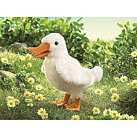 Duck, Small