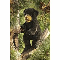 Bear, Black Cub Hand Puppet