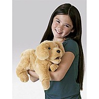 Golden Retriever Puppy Puppet by Folkmanis