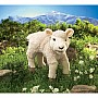 Lamb Hand Puppet