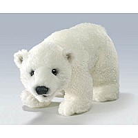 Bear, Polar Bear Cub