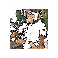Jeepers Peerpers Blackjack Chimpanzee 13"