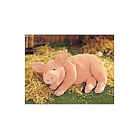 Arnold The Snoring Pig