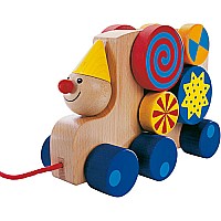 Circo
