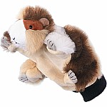 Guinea Pig