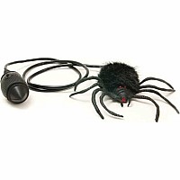 Hairy Scary Jumping Spider