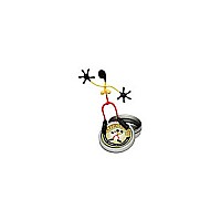Wendy Bender *