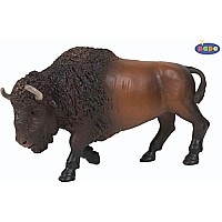 Bison