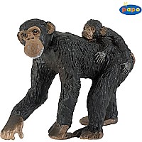 Chimpanzee