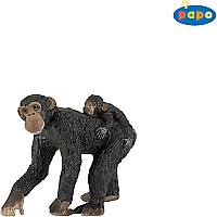 Chimpanzee