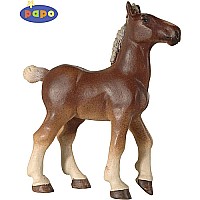 Breton Foal
