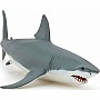 White Shark