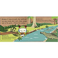 Green Start Puzzles: in the rainforest