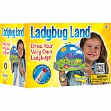 Ladybug LAND