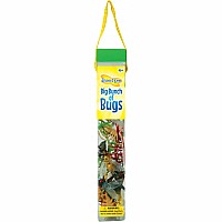 Bug BUNCH O' BUGS