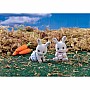 Cottontail Rabbit Twins