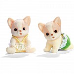 Chihuahua Dog Twins