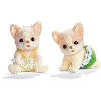 Chihuahua Dog Twins