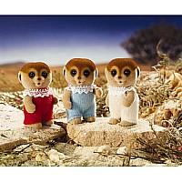 Spotter Meerkat Triplets