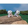 Dalmation Dog Twins