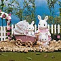 A Carriage Ride