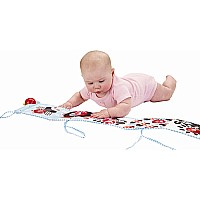 Baby's First Bumper Book