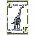Dinosaur Card Game