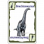 Dinosaur Card Game