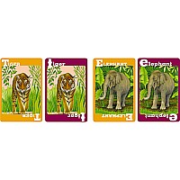 Amazing Animal Alphabet