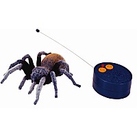 Rc Tarantula