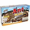 Ant Mine